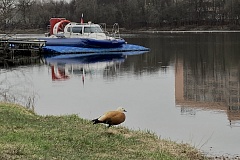 Осенний водоём: привычное место, новые опасности