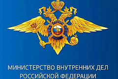 МВД России призывает граждан не реагировать на провокационные заявления организаторов несанкционированных публичных мероприятий